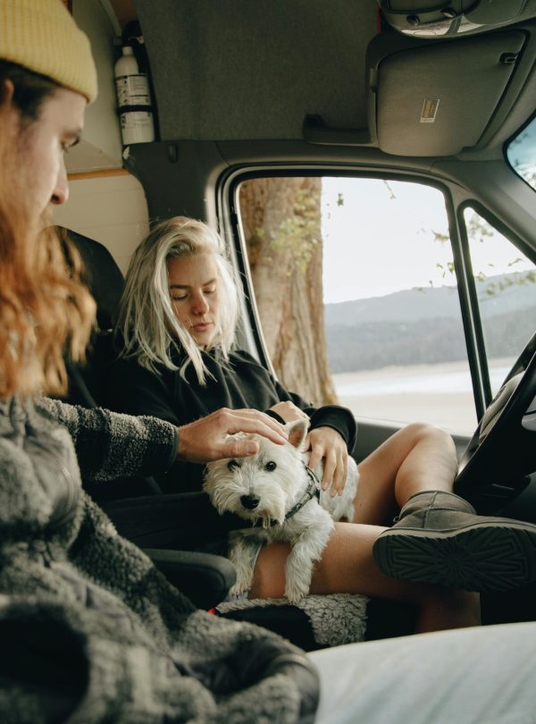Cozy van interior with friends and a fluffy dog enjoying a scenic view.