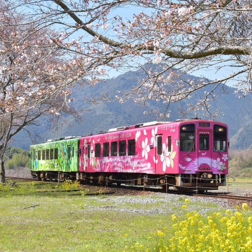 Nishiki Linear green and pink train