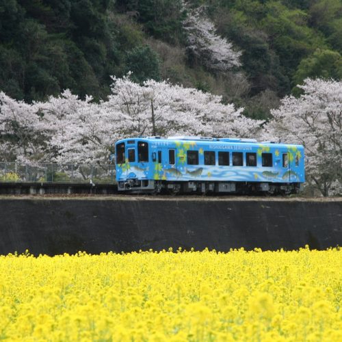 Nishiki Linear Blue train