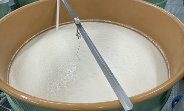 Dassai Brewery Factory